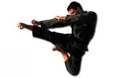 flying sidekick image showing flying side kick